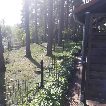 Waldschneise B Am Jabeler Semesterbostad Jabel